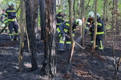 20260503_Waldbrand in Aigen Gemeinde Hernstein NÖ Bezirk BADEN