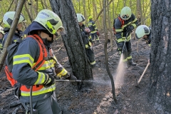 20260503_Waldbrand in Aigen Gemeinde Hernstein NÖ Bezirk BADEN