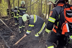 20260503_Waldbrand in Aigen Gemeinde Hernstein NÖ Bezirk BADEN