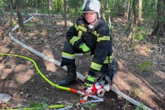 20260503_Waldbrand in Aigen Gemeinde Hernstein NÖ Bezirk BADEN