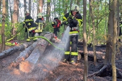 20260503_Waldbrand in Aigen Gemeinde Hernstein NÖ Bezirk BADEN