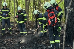 20260503_Waldbrand in Aigen Gemeinde Hernstein NÖ Bezirk BADEN