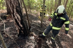 20260503_Waldbrand in Aigen Gemeinde Hernstein NÖ Bezirk BADEN
