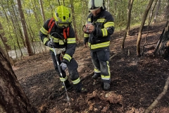 20260503_Waldbrand in Aigen Gemeinde Hernstein NÖ Bezirk BADEN