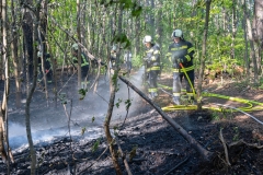 20260503_Waldbrand in Aigen Gemeinde Hernstein NÖ Bezirk BADEN