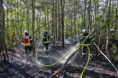 20260503_Waldbrand in Aigen Gemeinde Hernstein NÖ Bezirk BADEN