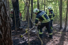 20260503_Waldbrand in Aigen Gemeinde Hernstein NÖ Bezirk BADEN