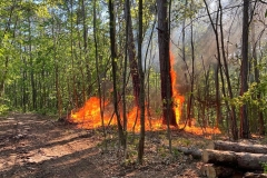 20260503_Waldbrand in Aigen Gemeinde Hernstein NÖ Bezirk BADEN